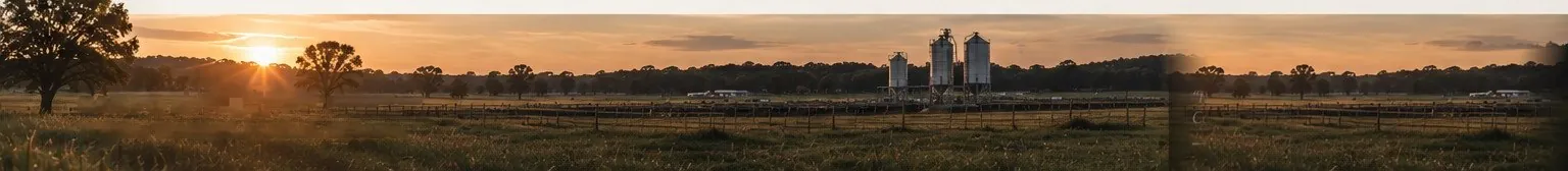 Campo al atardecer con silos y árboles en el horizonte